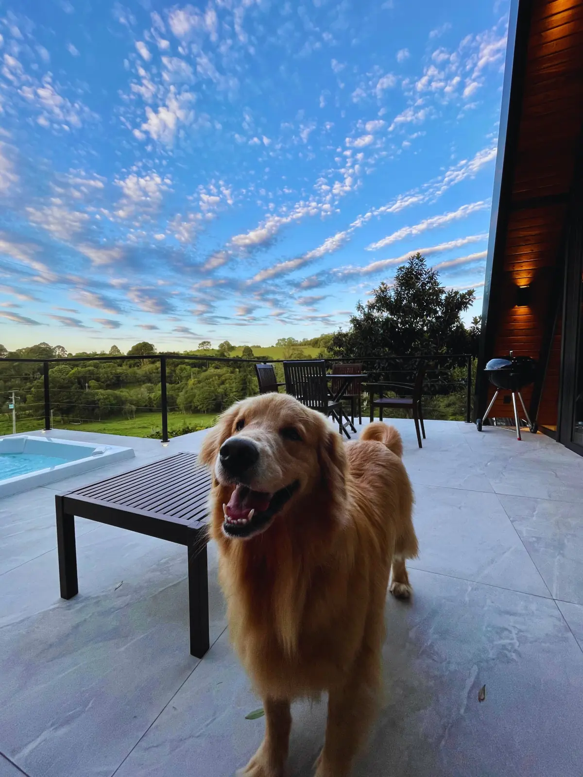 Golden retriever no deck ao entardecer, com churrasqueira americana e jacuzzi